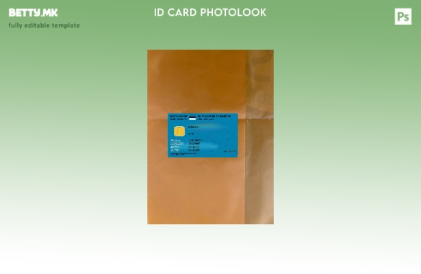 модерен стил Дигитална лична карта на Естонија го претставува предниот шаблон со